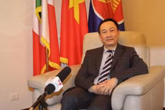 Vietnam-Vatican relations see positive progress: Ambassador