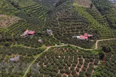 1,600 more cooperatives to be formed this year