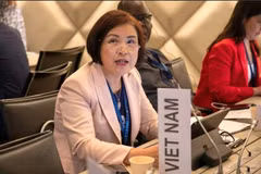Vietnam wishes to strengthen ties with International Trade Centre: ambassador