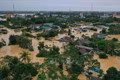 Over 1,100 natural disasters hit Vietnam in 2023
