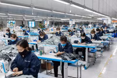 Diversifying material sources opens door to sustainable supply chain