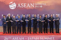  ASEAN-Japan relations thrive over 50 years