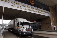 Vietnamese, Chinese firms sign cooperation document in farm produce, food