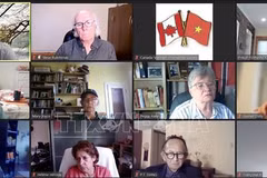 Webinar spotlights President Ho Chi Minh’s thought in foreign policy