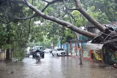 Fewer storms to hit Vietnam this year