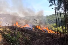 Better vigilance needed to prevent wildfires as intense heatwaves continue