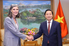 Deputy PM receives UNDP, USAID officials