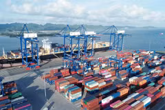 Vietnam needs 13.3 billion USD to develop seaports