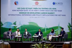 Experts share international experience in promoting carbon market in Vietnam