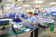 Up to 116,300 enterprises established in nine months: GSO