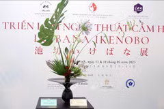 Japanese flower arrangement exhibition opens in HCM City