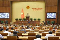 National Assembly to pass five laws this week