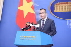 More Vietnamese rescued in Philippines repatriated safely: official