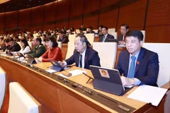  NA adopts resolution on dismissal of two Deputy PMs