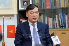 Singaporean PM’s Vietnam visit to help booster strategic partnership: diplomat