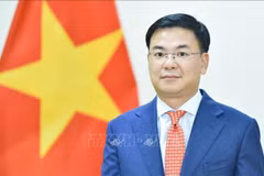 Vietnamese Ambassador presents credentials to Japanese Emperor 