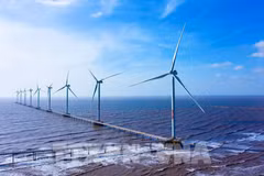 Marine spatial planning to promote blue economy put on table