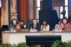 Vietnam puts forth recommendations at APPF-31