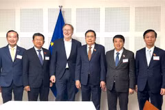 EP official lauds Vietnam’s progress in green transition