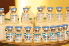 Philippines a promising importer of made-in-Vietnam African swine fever vaccines