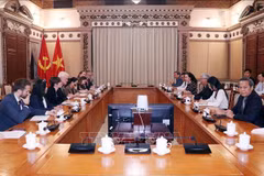 HCM City, UK promote green growth cooperation