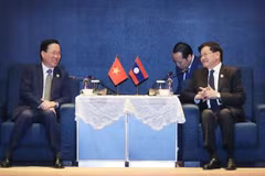 Vietnam always treasures ties with Laos: President