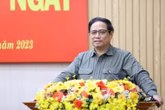 Quang Ngai advised to focus on processing-manufacturing development 
