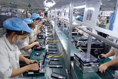 Record number of new firms seen in eight months