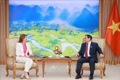 Vietnam wants to step up multi-faceted cooperation with Slovenia: PM