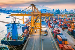 WTO Director-General’s visit reflects significant attention to Vietnam’s development: official