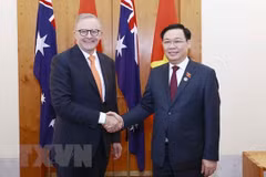 Vietnam, Australia enjoy fruitful strategic partnership: expert