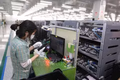 Vietnam to develop initiatives to sustain FDI flows