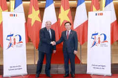 Vietnam, France – accompanying, reliable partners: Ambassador