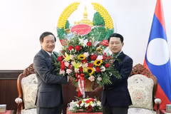 Vietnamese Ambassador congratulates Laos on traditional New Year festival 
