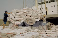 Indonesia plans to import less rice in 2024