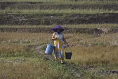 Food prices in Indonesia forecast to remain high through year-end