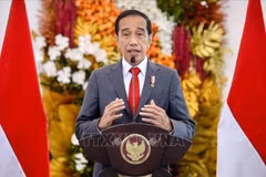 Indonesia backs promotion of 5-Point Consensus on Myanmar