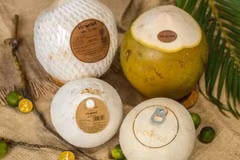 Positive outlook for Vietnam's coconut exports: experts