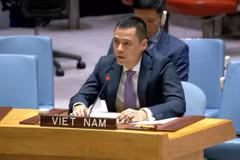 Comprehensive approach needed for promoting peace: Ambassador