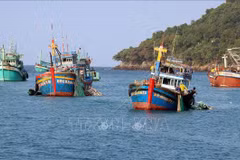 📝 OP-ED: Vietnamese coastal localities take long-term efforts to end IUU fishing