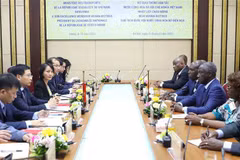 Côte d’Ivoire leader suggests specific activities in transport cooperation with Vietnam