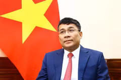Chinese leader’s Vietnam visit to deepen bilateral relations: Deputy FM