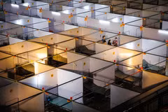Young Photography Festival 2023 opens for submissions