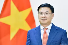 Vietnam, a staunch supporter of Japan's Zero Emissions Community initiative: Ambassador