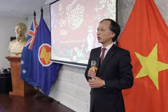 Overseas Vietnamese gather in Tet celebrations