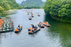 Domestic market to drive tourism recovery in 2023: insider