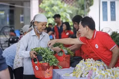 Int'l Red Cross to hold 11th Asia-Pacific Regional Conference in Hanoi next month