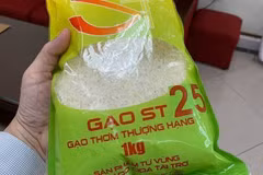 Canada a potential market for Vietnam’s rice: Insiders
