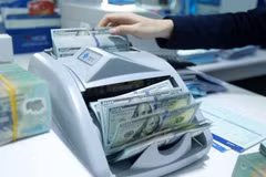 Deputy PM urges hastened procedures for cancelled IDA loans