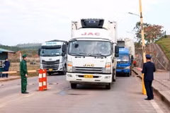 China's reopening good news for Vietnamese exporters